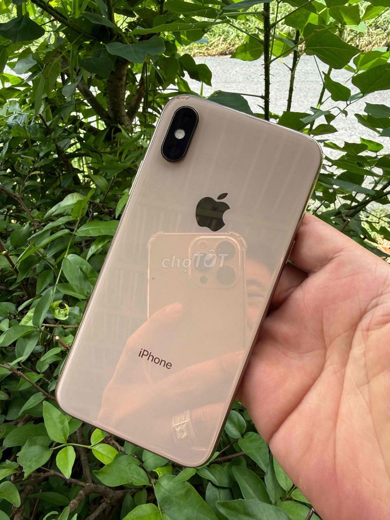 iPhone Xs 64GB Vàng Đã sử dụng. Mua bán Điện thoại tại Thành phố Cà Mau Cà Mau được đăng bởi Nguyễn An hình 1