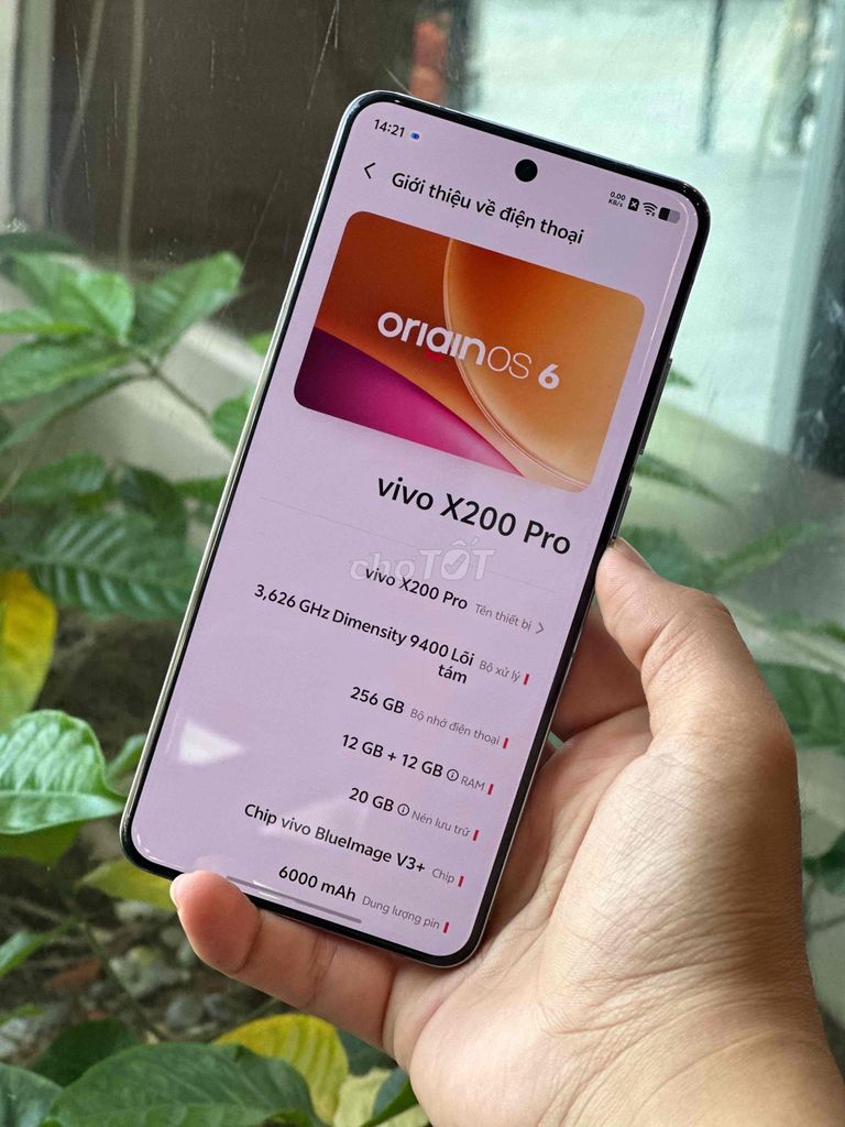 Vivo X200 Pro 256GB Xám. Mua bán Điện thoại tại Quận Cẩm Lệ Đà Nẵng được đăng bởi Nguyễn Văn Linh hình 1