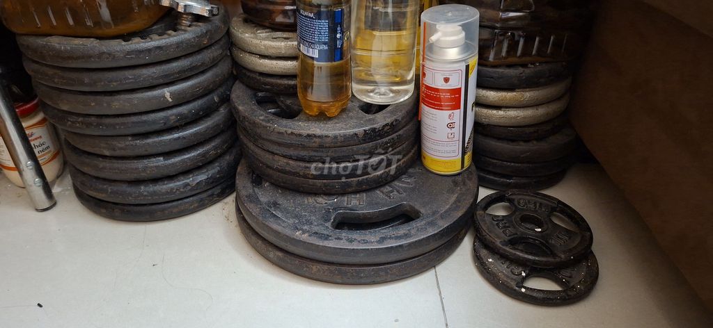 Tạ Kim loại 5kg, 10kg