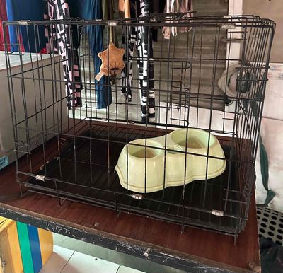 Lồng thú cưng kim loại 50x40x35 cm. Mua bán Phụ kiện, Thức ăn, Dịch vụ tại Huyện Bình Chánh Tp Hồ Chí Minh được đăng bởi Mi Đỗ