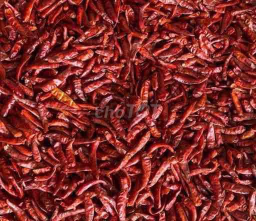 Ớt khô Bình Định siêu cay 1kg. Mua bán Đồ ăn, thực phẩm và các loại khác tại Huyện Phù Mỹ Bình Định được đăng bởi My Huyen hình 1