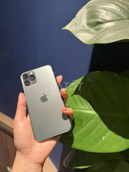 Apple iPhone 11 Pro 256GB Xám Đã sử dụng. Mua bán Điện thoại tại Quận 5 Tp Hồ Chí Minh được đăng bởi Hội Đồ Điện Tử hình 1