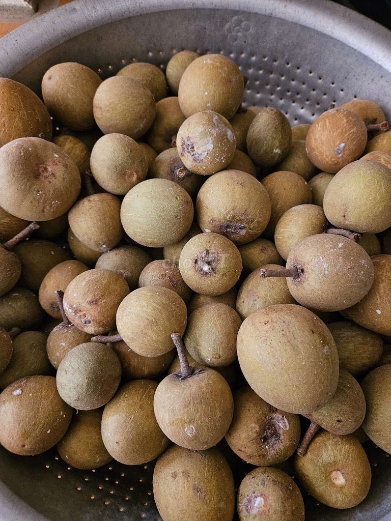 Hồng xiêm nhà trồng free ship 10k/kg. Mua bán Đồ ăn, thực phẩm và các loại khác tại Quận Bắc Từ Liêm Hà Nội được đăng bởi Robert Dac Captivate hình 1