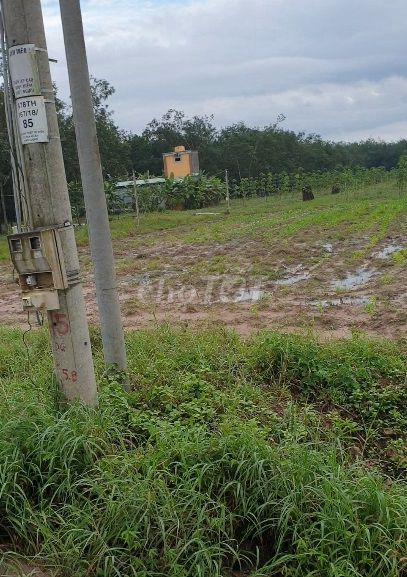Cần bán gấp trong tháng giảm sâu lô đất mặt tiền đường nhựa 30m. Mua bán đất tại Huyện Tân Châu Tây Ninh được đăng bởi Hướng Hồ hình 1