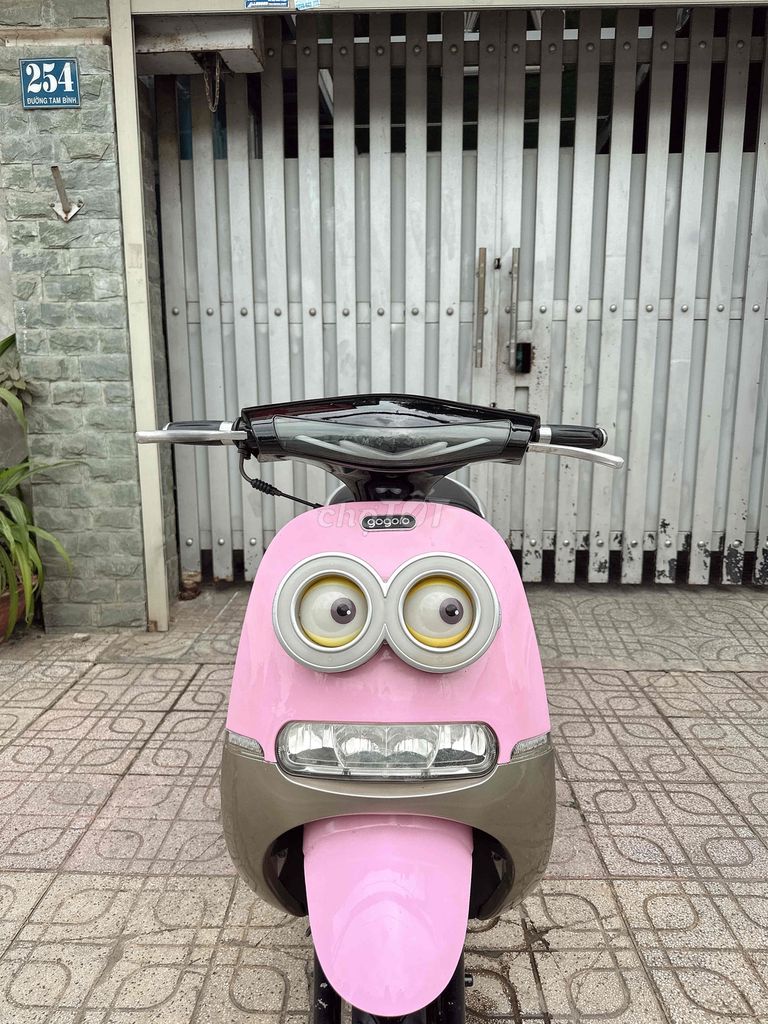 🌈 Gogo Minion 50cc 2023 BSTP