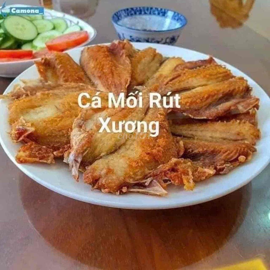 cá mối rút sương môt nắng