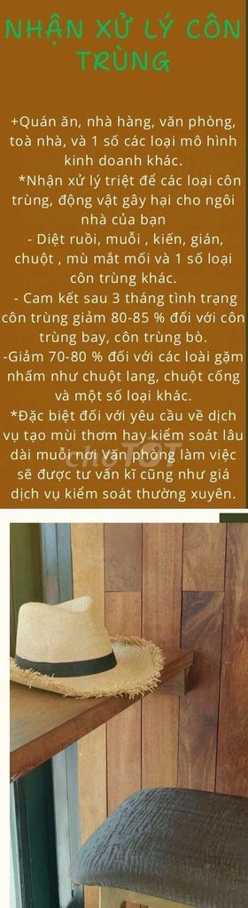 Kiểm soát côn trùng cho các mô hình kinh doanh