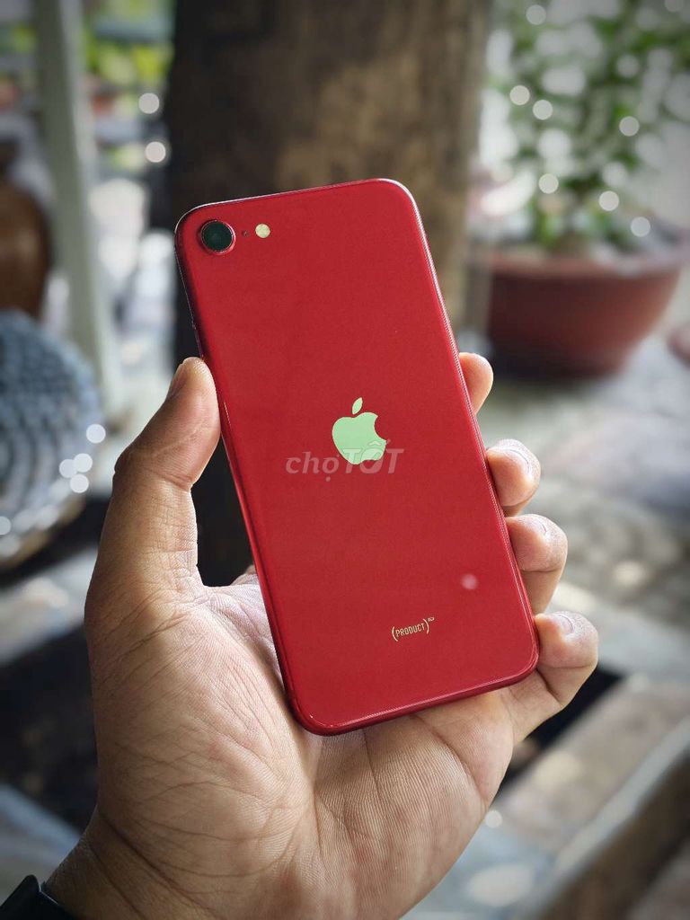 Apple iPhone SE 2 64GB Đỏ 99%. Mua bán Điện thoại tại Quận Tân Phú Tp Hồ Chí Minh được đăng bởi Đăng Thái hình 1