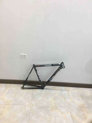 Khung xe đạp Pizzicato T1 Hợp kim