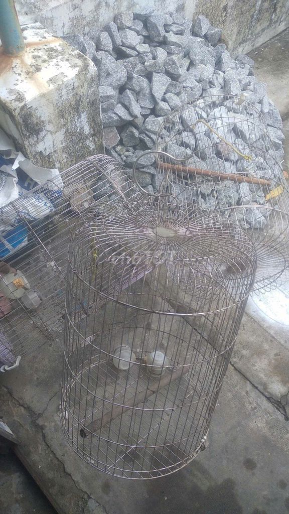 Lồng chim kim loại màu bạc. Mua bán Phụ kiện, Thức ăn, Dịch vụ tại Thành phố Cà Mau Cà Mau được đăng bởi khoi trung hình 1