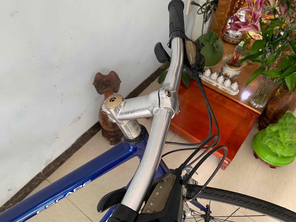 Bán xe thể thao chính hãng Giant xịn. Mua bán Xe đạp tại Quận Cẩm Lệ Đà Nẵng được đăng bởi datmasuto hình 4