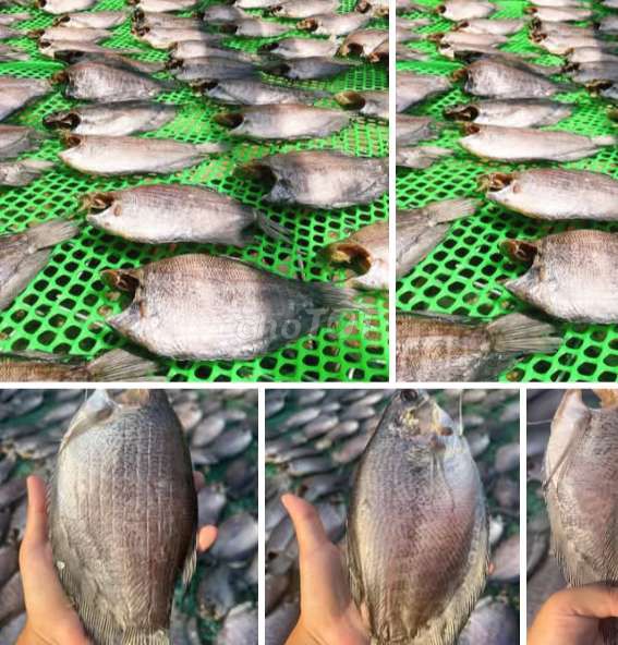 Cá hấp rổ tre, hàng hấp mỗi ngày. Mua bán Đồ ăn, thực phẩm và các loại khác tại Quận 12 Tp Hồ Chí Minh được đăng bởi hạnh chuyên cung cấp sỉ lẻ Lạp xưởng chả cá Nha Trang hình 4