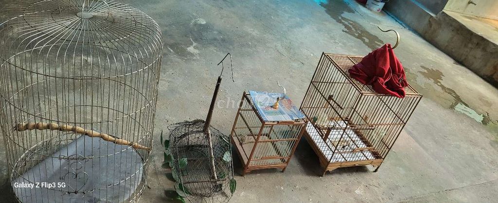 Lồng chim Kim loại Tre. Mua bán Phụ kiện, Thức ăn, Dịch vụ tại Quận Long Biên Hà Nội được đăng bởi Mạnh Hùng Nguyễn hình 1