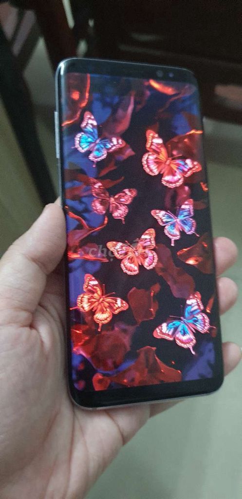 cuối tháng xài tạm Samsung S8 chữa cháy. Mua bán Điện thoại tại Quận Tân Bình Tp Hồ Chí Minh được đăng bởi Trần Gia Bảo hình 1