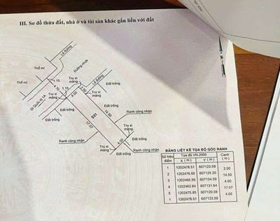 Bán nhanh đất đẹp p. Tam Bình. Mua bán đất tại Thành phố Thủ Đức Tp Hồ Chí Minh được đăng bởi Trinh Nguyễn 
