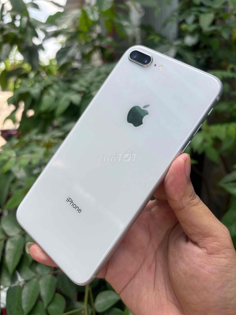 Apple iPhone 8 Plus 64GB Bạc 99%. Mua bán Điện thoại tại Huyện Bình Chánh Tp Hồ Chí Minh được đăng bởi Lâm mobiphone hình 1