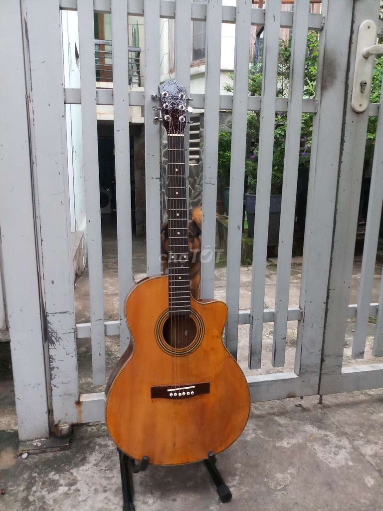 Đàn guitar Acoustic .