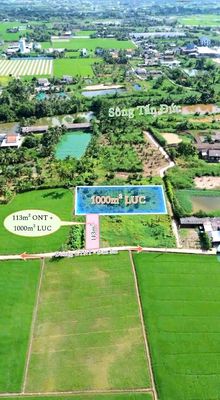 Chỉ 1.15 tỷ sở hữu 1113m2 đất thổ đường ô tô cực đẹp. Mua bán đất tại Huyện Tân Trụ Long An được đăng bởi Hùng Lê