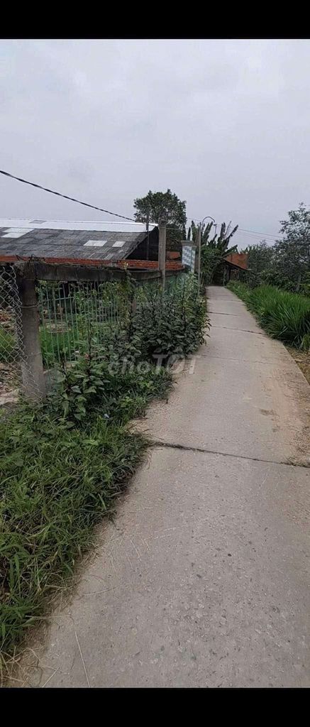 CẦN BÁN GẤP