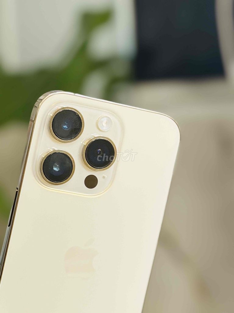 Apple iPhone 14 Pro 256GB Vàng 99%. Mua bán Điện thoại tại Quận Ninh Kiều Cần Thơ được đăng bởi HẢI APPLE CẦN THƠ hình 1