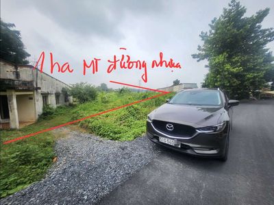 Bán 1ha đất  mặt tiền đường nhựa. QUY HOẠCH ĐẤT Ở. Mua bán đất tại Huyện Củ Chi Tp Hồ Chí Minh được đăng bởi Ba Hưng