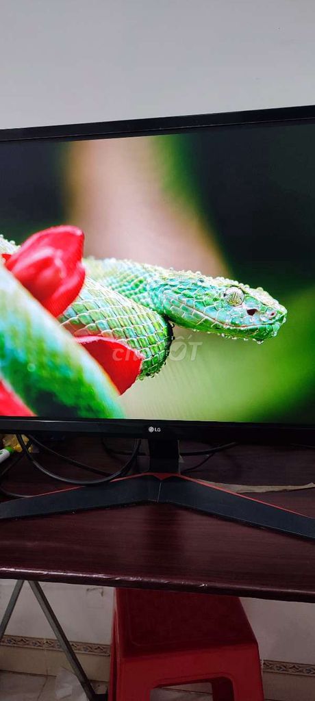 Màn hình LG 27MP59G 27 inch Full HD. Mua bán Phụ kiện (Màn hình, Chuột...) tại Huyện Ea Kar Đắk Lắk được đăng bởi Thành Long hình 1