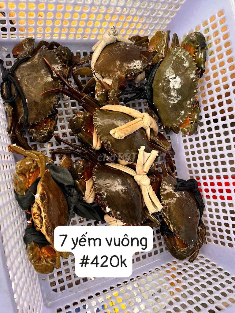 Cua Cà Mau Bao Ăn. Mua bán Đồ ăn, thực phẩm và các loại khác tại Quận Bình Tân Tp Hồ Chí Minh được đăng bởi ĐẶC SẢN CÀ MAU  hình 1