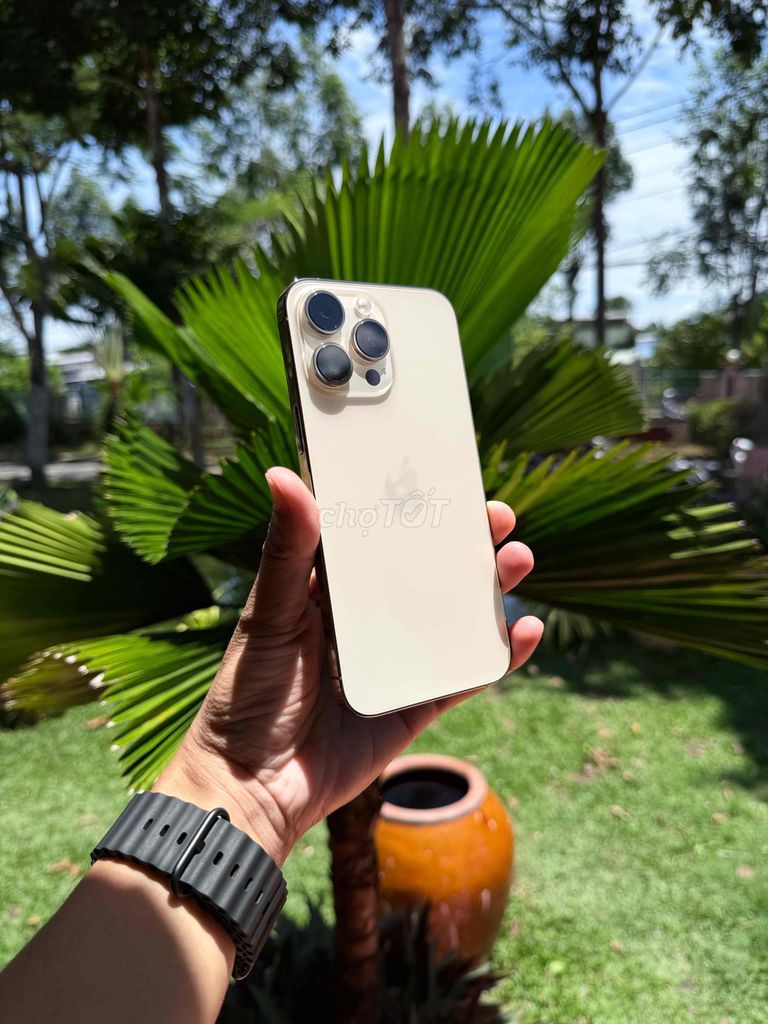 iPhone 14 Pro Max Vàng Mỹ 99%. Mua bán Điện thoại tại Thành phố Vĩnh Long Vĩnh Long được đăng bởi Nguyễn Phúc Hậu hình 1