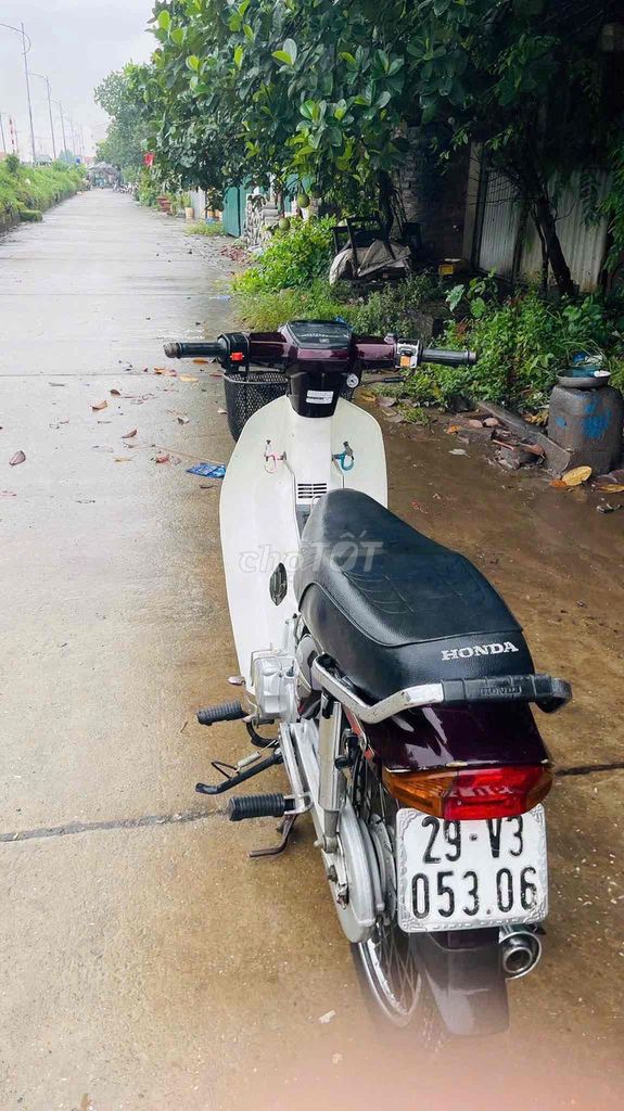 Номер Honda Dream белый, красный сливовый