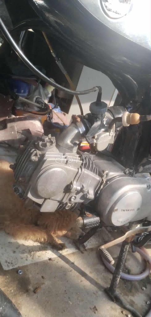 xe ông già em đi nay ko đi nữa cần thanh lý. Mua bán Xe máy tại Quận 12 Tp Hồ Chí Minh được đăng bởi Cu Hai hình 6