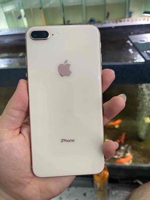 iPhone 8 Plus 256GB quốc tế icloud chính chủ zin. Mua bán Điện thoại tại Quận Tân Bình Tp Hồ Chí Minh được đăng bởi Thanh Trúc 