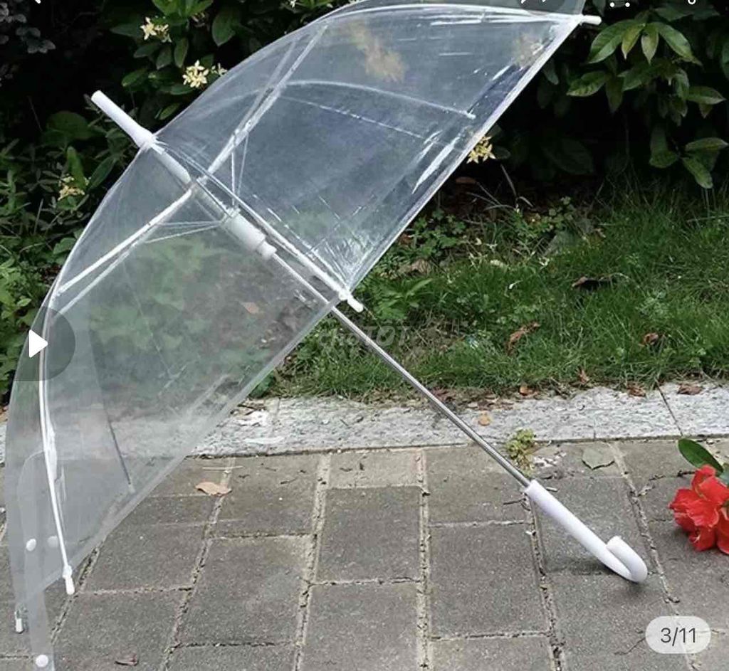 Ô trong suốt. Mua bán Phụ kiện thời trang khác tại Quận Thanh Xuân Hà Nội được đăng bởi Phượng hình 1