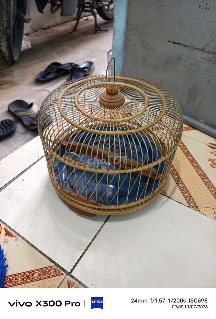 Lồng chim Mây tre đan Thủ công trang trí. Mua bán Nội thất, đồ gia dụng khác tại Thành phố Dĩ An Bình Dương được đăng bởi Văn Quang hình 1