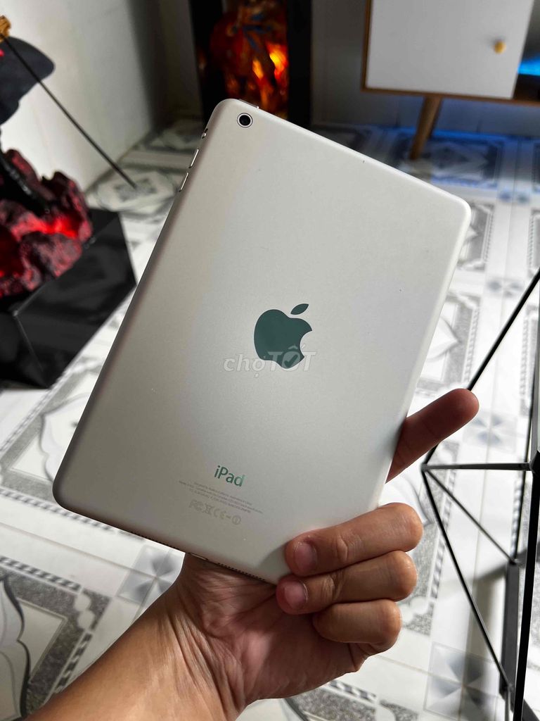 ipad mini 2 chử cháy