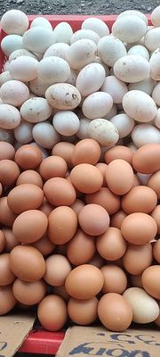 Trứng vịt đồng, gà ta, bắc thảo, trứng muối.. Mua bán Đồ ăn, thực phẩm và các loại khác tại Thành phố Thủ Đức Tp Hồ Chí Minh được đăng bởi Trang