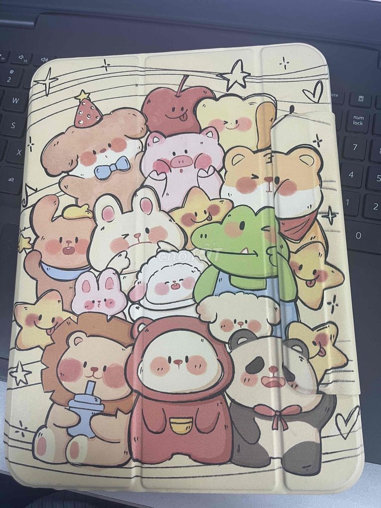 ốp ipad gen 10