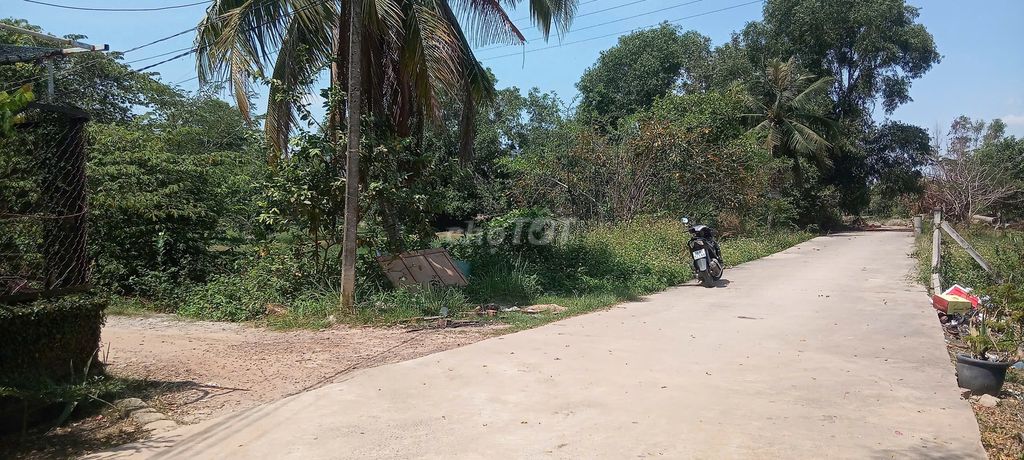 Đất Vườn Gần Bệnh Viện Đa Khoa Nhơn Trạch Bán Gấp. Mua bán đất tại Huyện Nhơn Trạch Đồng Nai được đăng bởi Phát Đất Xanh Group hình 5