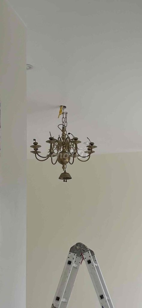 Đèn treo trần Đồng Vàng đồng 8 tay. Mua bán Đèn tại Quận Lê Chân Hải Phòng được đăng bởi Dũng hình 1