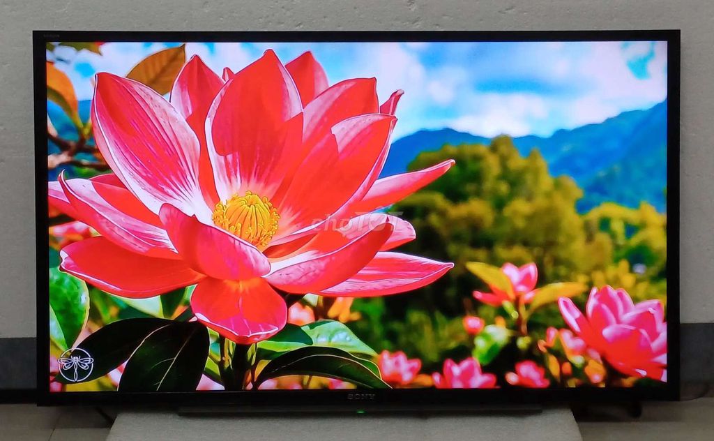 Tivi wifi Sony 40 inch zin đẹp loa vòm hay. Mua bán Tivi, Âm thanh tại Quận Ninh Kiều Cần Thơ được đăng bởi Luật Nguyễn hình 1