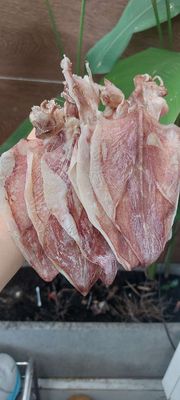 Khô mực size 40/45 con 1kg giá rẻ. Mua bán Đồ ăn, thực phẩm và các loại khác tại Quận 12 Tp Hồ Chí Minh được đăng bởi Mis Nhung