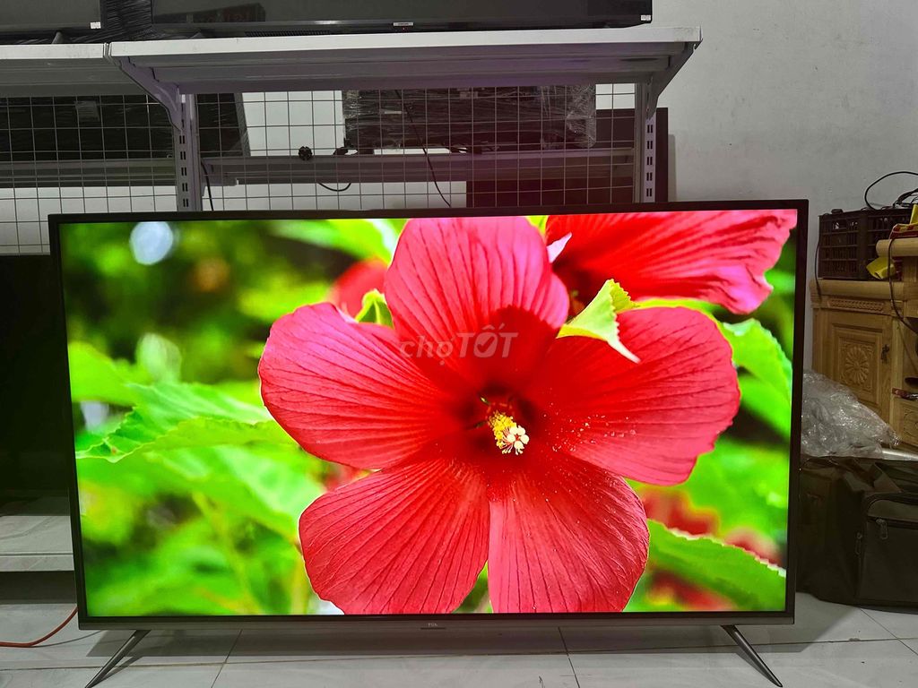 smart tivi TCL 55in 4k giọng nói , Bluetooth.