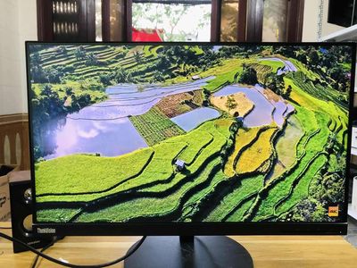 Màn hình Lenovo ThinkVision P24h-10 23.8 inch IPS. Mua bán Phụ kiện (Màn hình, Chuột...) tại Quận Kiến An Hải Phòng được đăng bởi QuỳnhMai Bùi