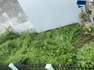 Bán đất hẻm 2581 Huỳnh Tấn Phát TPHCM