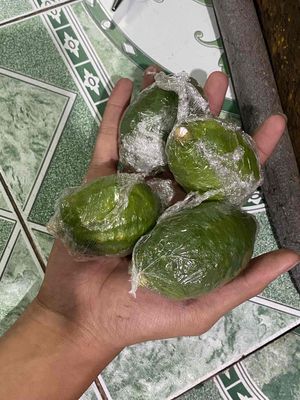 Chanh Quảng Đông size nhỏ 14-15 trái 1 kg