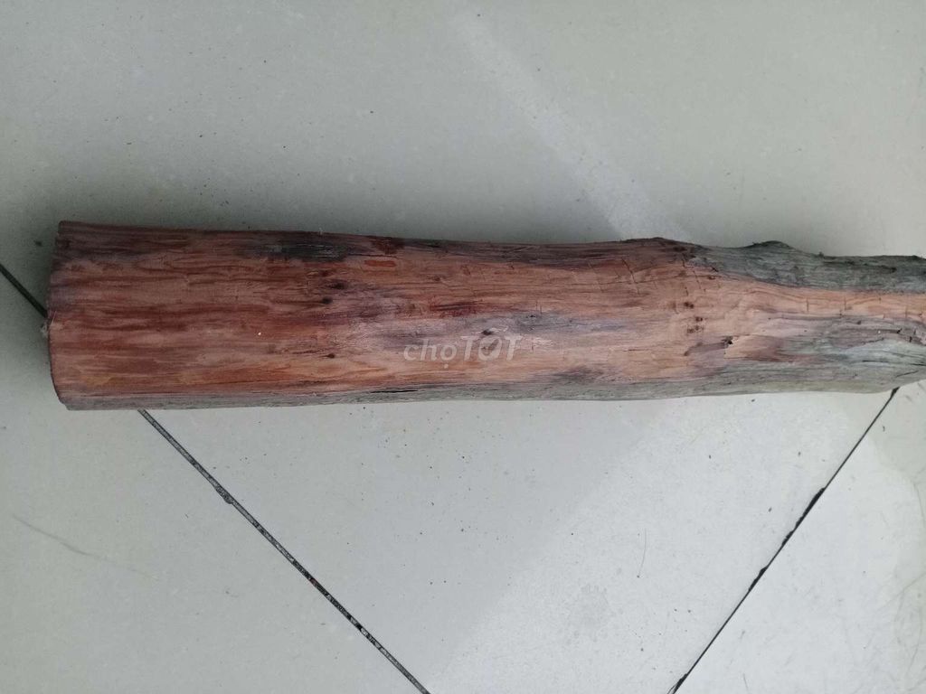 Gỗ trôi sông Gỗ trang trí