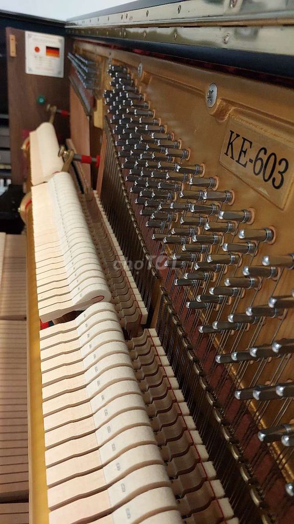 Piano Kreutzer KE603 Cao Cấp