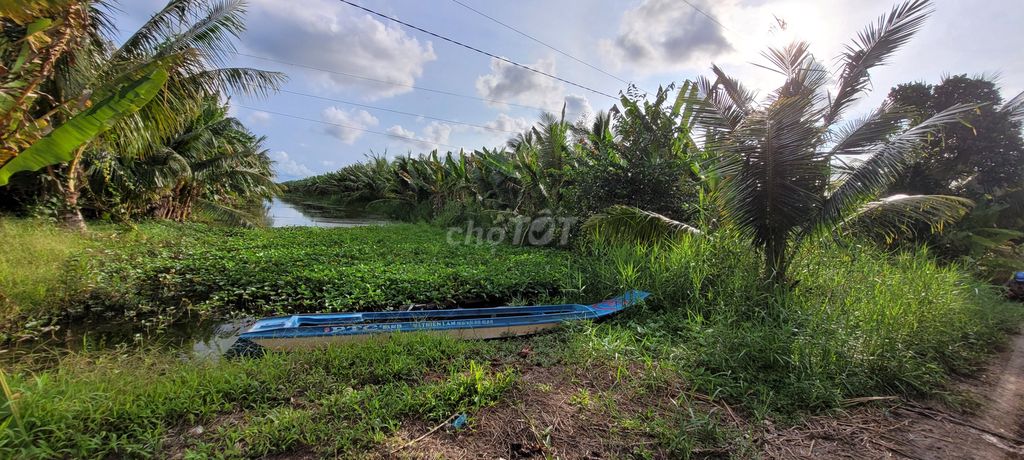 Cần bán gắp đất