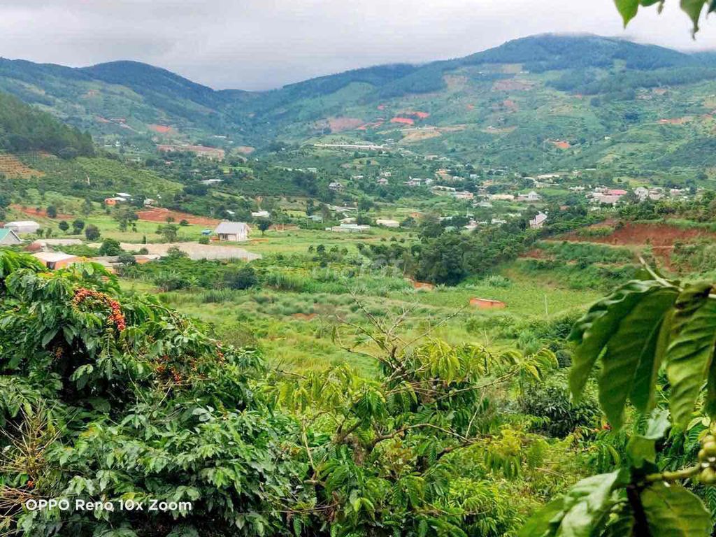 Bán đất vùng ven Đà Lạt trung tâm thị trấn Nam Ban