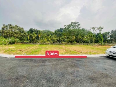 150m thổ cư, sẵn sổ tại Vân Hoà, Ba Vì, HN. Chủ đang thở Oxy ạ!. Mua bán đất tại Huyện Ba Vì Hà Nội được đăng bởi Tuyết Hạnh Kiều