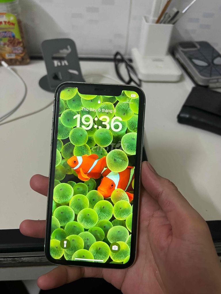 iPhone 11 64GB QT. Mua bán Điện thoại tại Thành phố Long Xuyên An Giang được đăng bởi iP hình 1